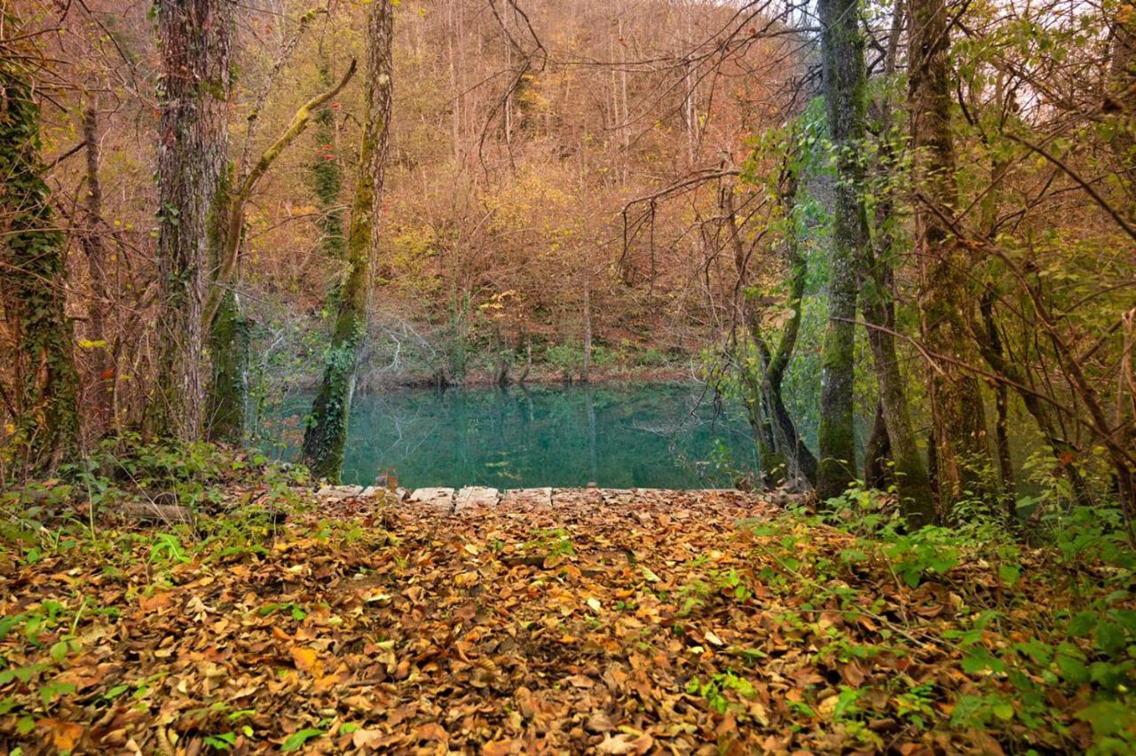 Ecotourism Mreznica Villa Bagian luar foto